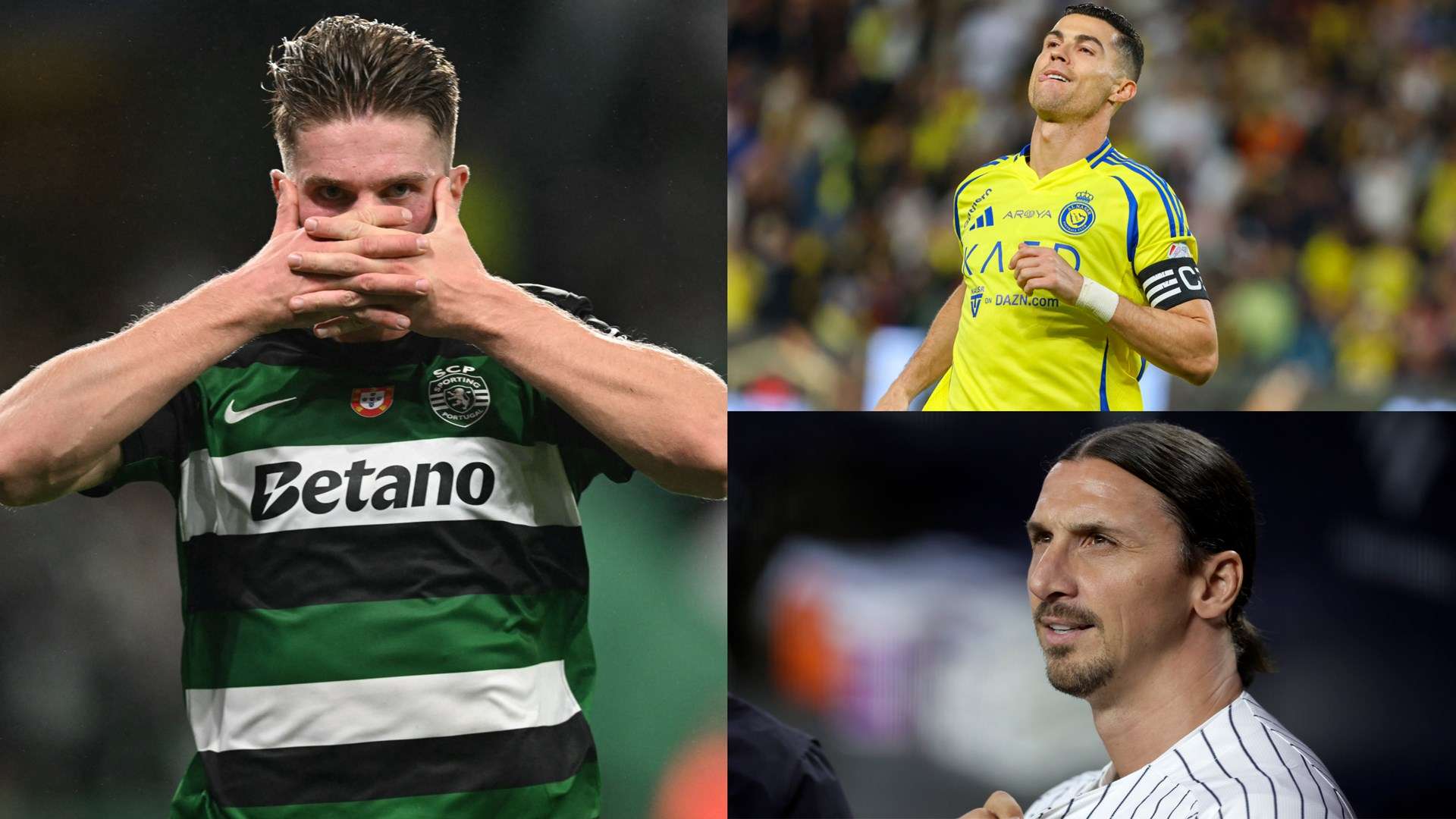 个方面详细 个方面详细